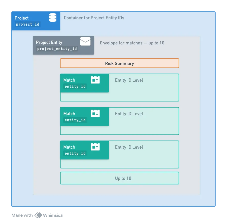 Visual diagram showing the three-tier hierarchy of Project Entities with Project, Project Entity, and Match levels